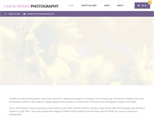 Tablet Screenshot of carolnorrisphotography.com